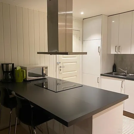 Sentral 4-roms I Trollbakken