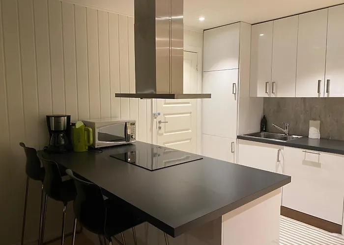 Sentral 4-roms I Trollbakken